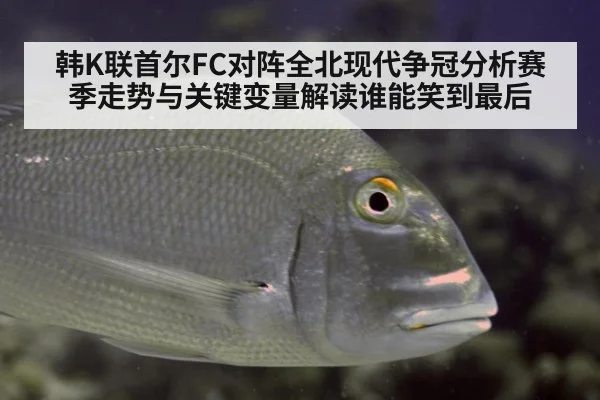 韩K联首尔FC对阵全北现代争冠分析赛季走势与关键变量解读谁能笑到最后